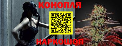 Альфа ПВП Обнинск