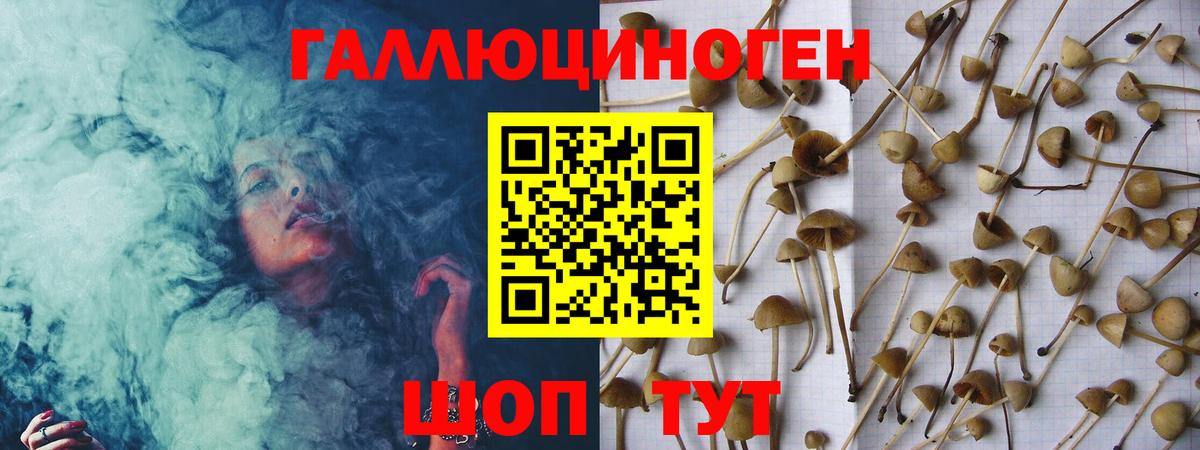 Галлюциногенные грибы MAGIC MUSHROOMS  что такое наркотик  Рассказово  Вход с VPN  Псилоцибиновые грибы мицелий 